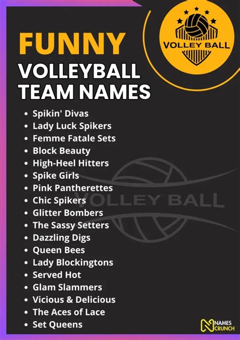 funny coed volleyball team names